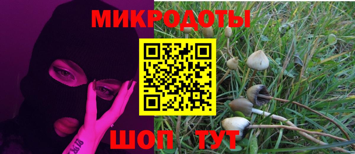 Галлюциногенные грибы GOLDEN TEACHER  где купить наркоту  Псилоцибиновые грибы Psilocybe  Сосновый Бор  Вход с VPN 